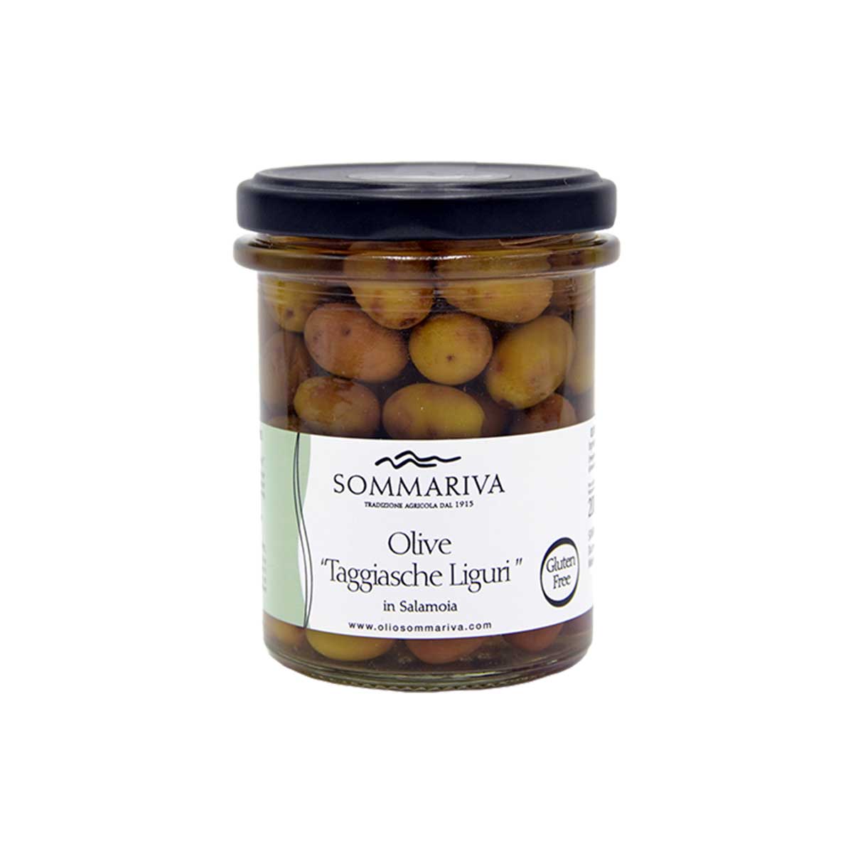 Taggiasca-Oliven mit Kern, Oliven aus Ligurien.